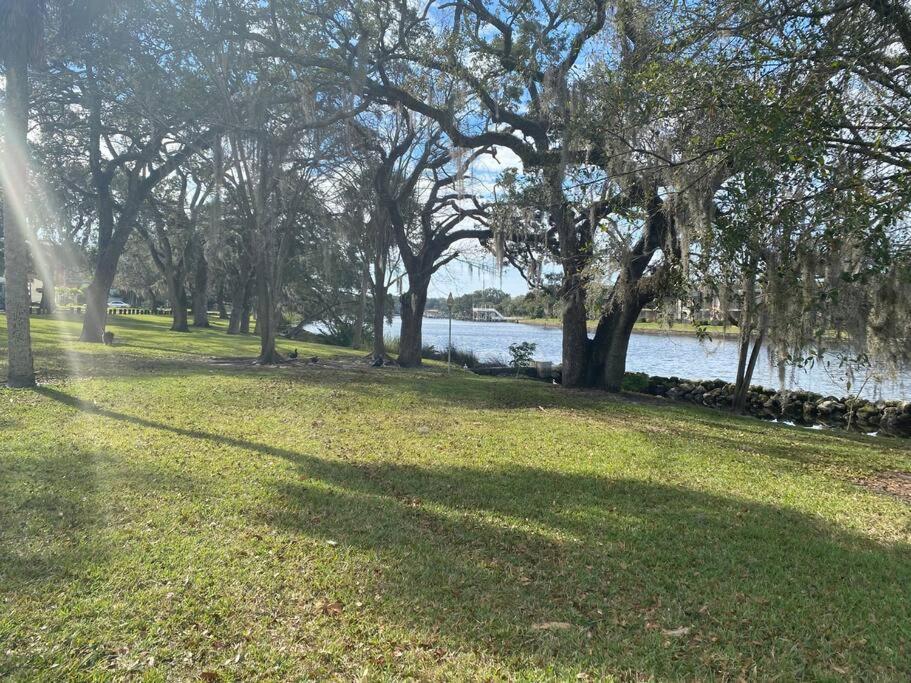 Chic Pad In Center Of Seminole Heights-322 Apartment Tampa Exterior photo